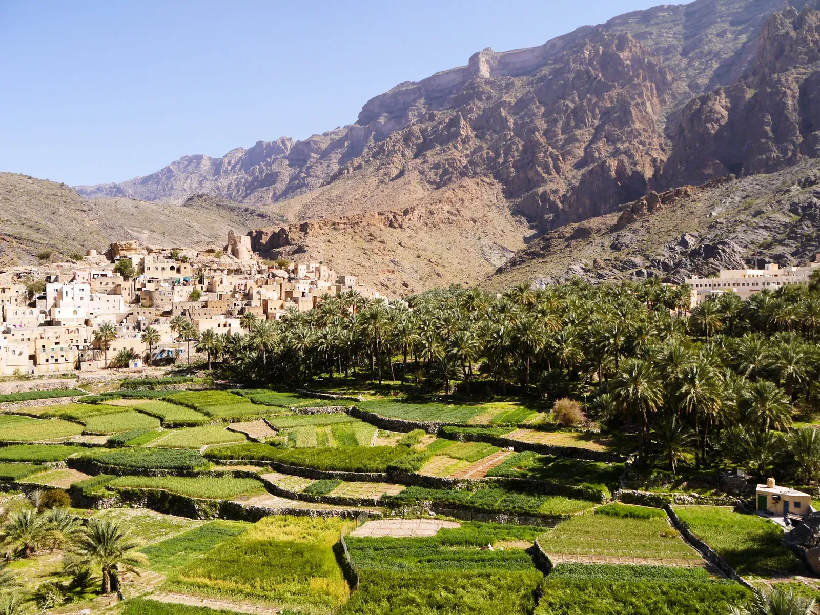 Het bergdorp Balad Sayt met groene landbouwterrassen en palmen, ingeklemd tussen de kale wanden van het Hajar-gebergte