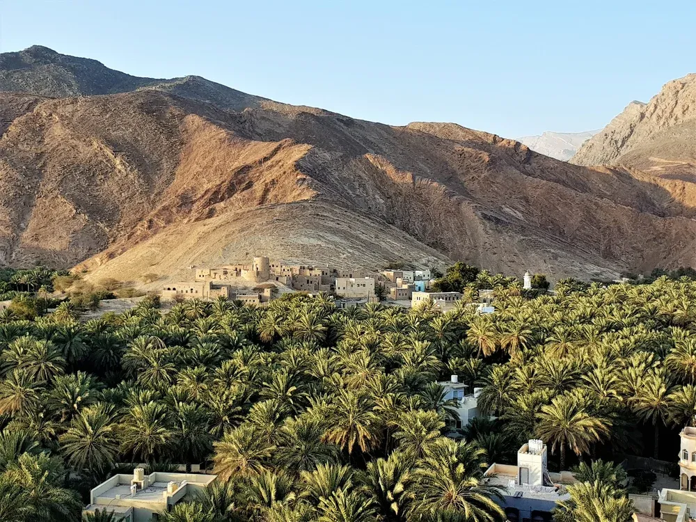Palmtuinen en falaj bij Birkat Al Mauz