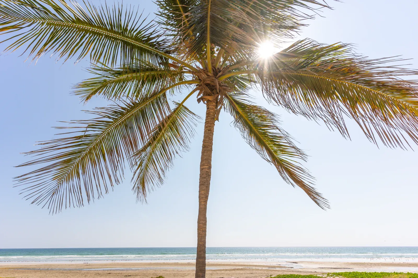 Het wierookerfgoed van Salalah — Land of Frankincense