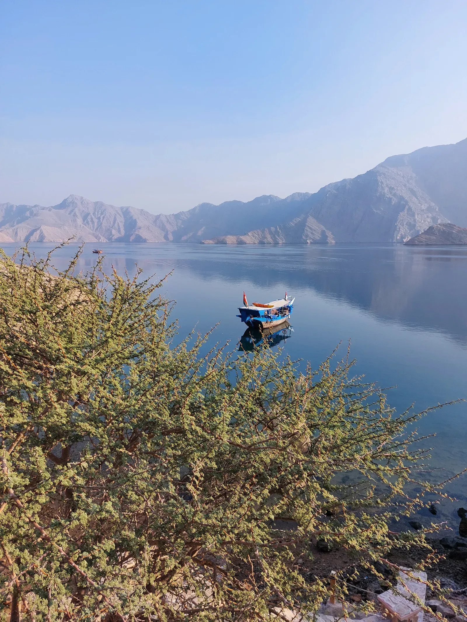 Een traditionele houten dhow ligt voor anker in een spiegelgladde fjord van Musandam, omringd door kale bergwanden