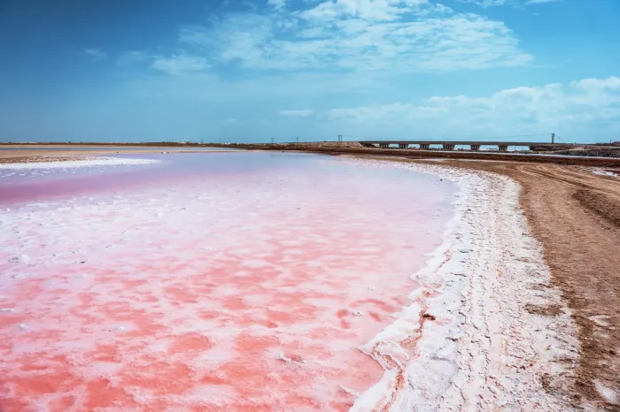 Een ondiep kustmeer met opvallend roze water en een rand van witte zoutkristallen onder een blauwe lucht