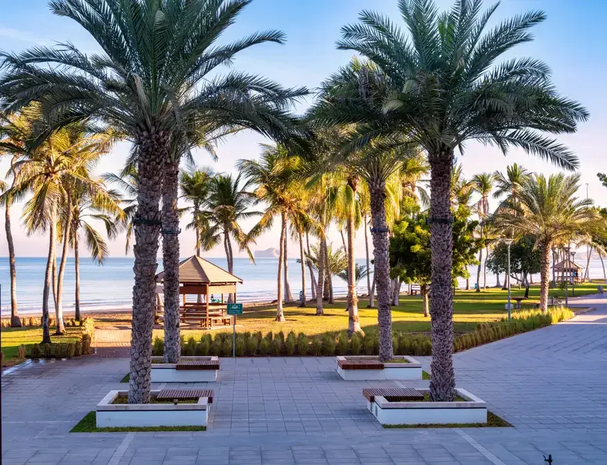 De palmrijke boulevard langs Qurum Beach in Muscat bij gouden licht, met de zee en een eilandje op de achtergrond
