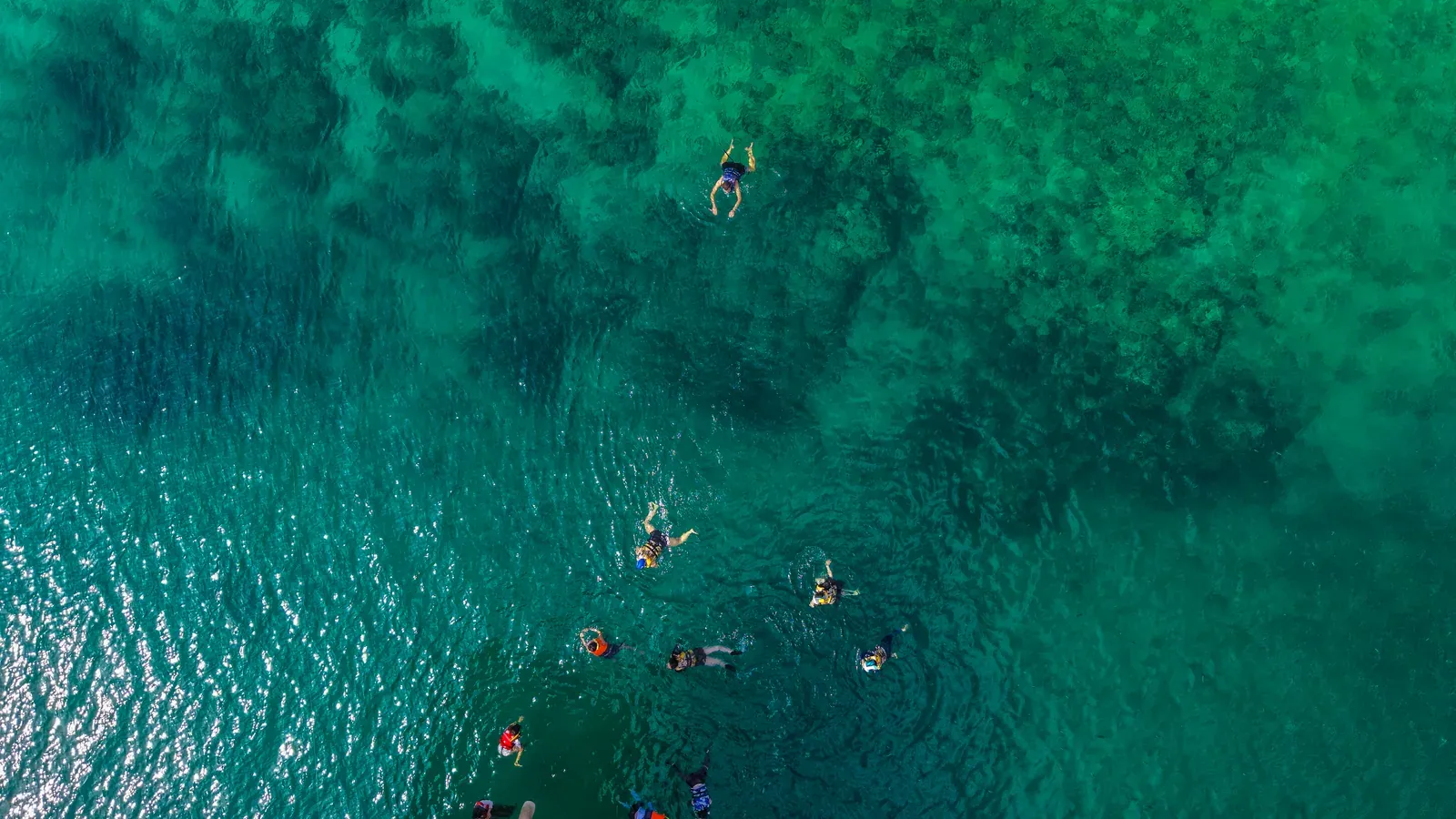 Snorkelaars van bovenaf gezien in het heldere turquoise water boven een rif in Musandam