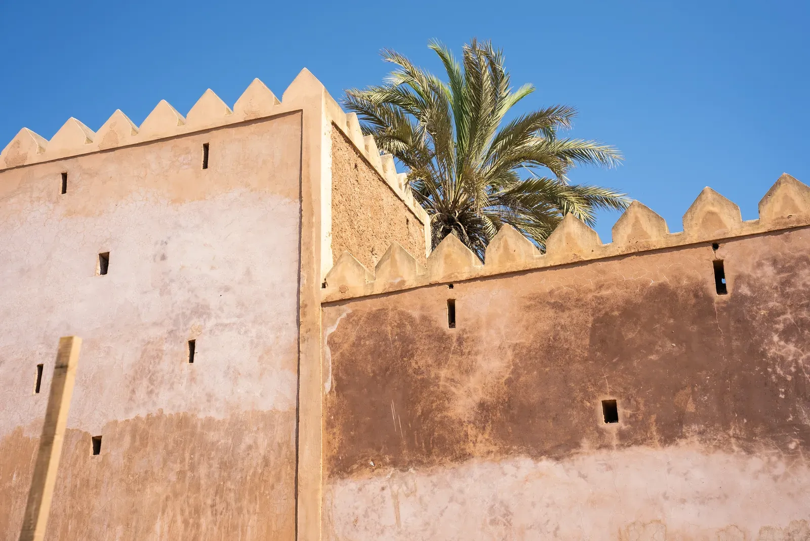 De lemen vestingmuur van Taqah Castle met kantelen en een dadelpalm die erbovenuit steekt