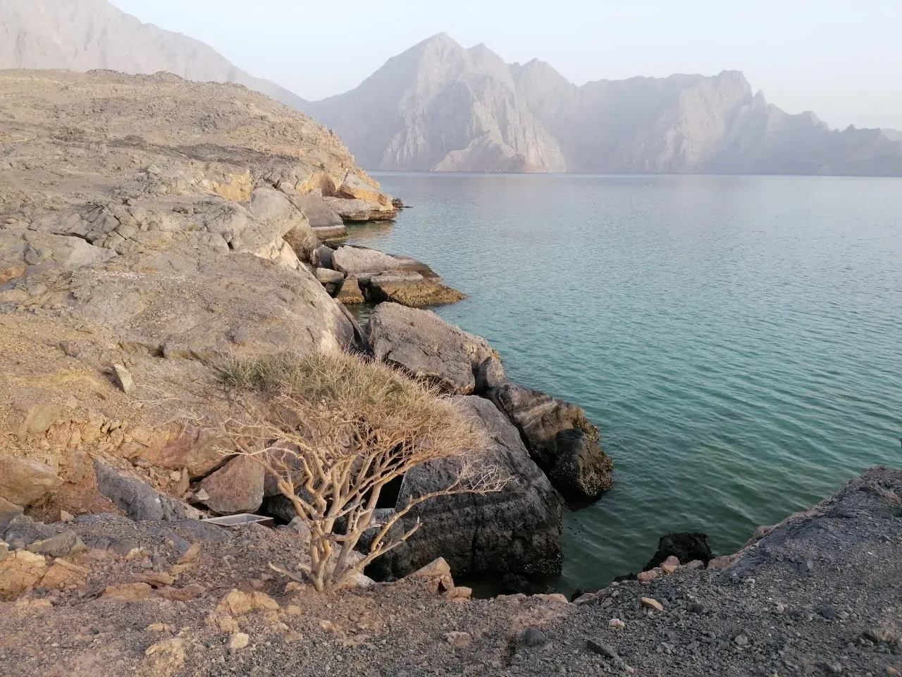 De rotsige kust bij Telegraph Island in de fjord Khor ash-Sham, met spiegelglad water tussen de bergen