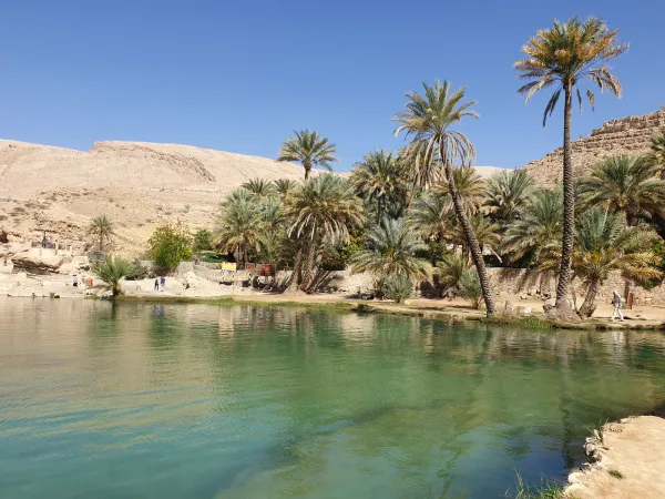 De heldere zwemvijvers van Wadi Bani Khalid