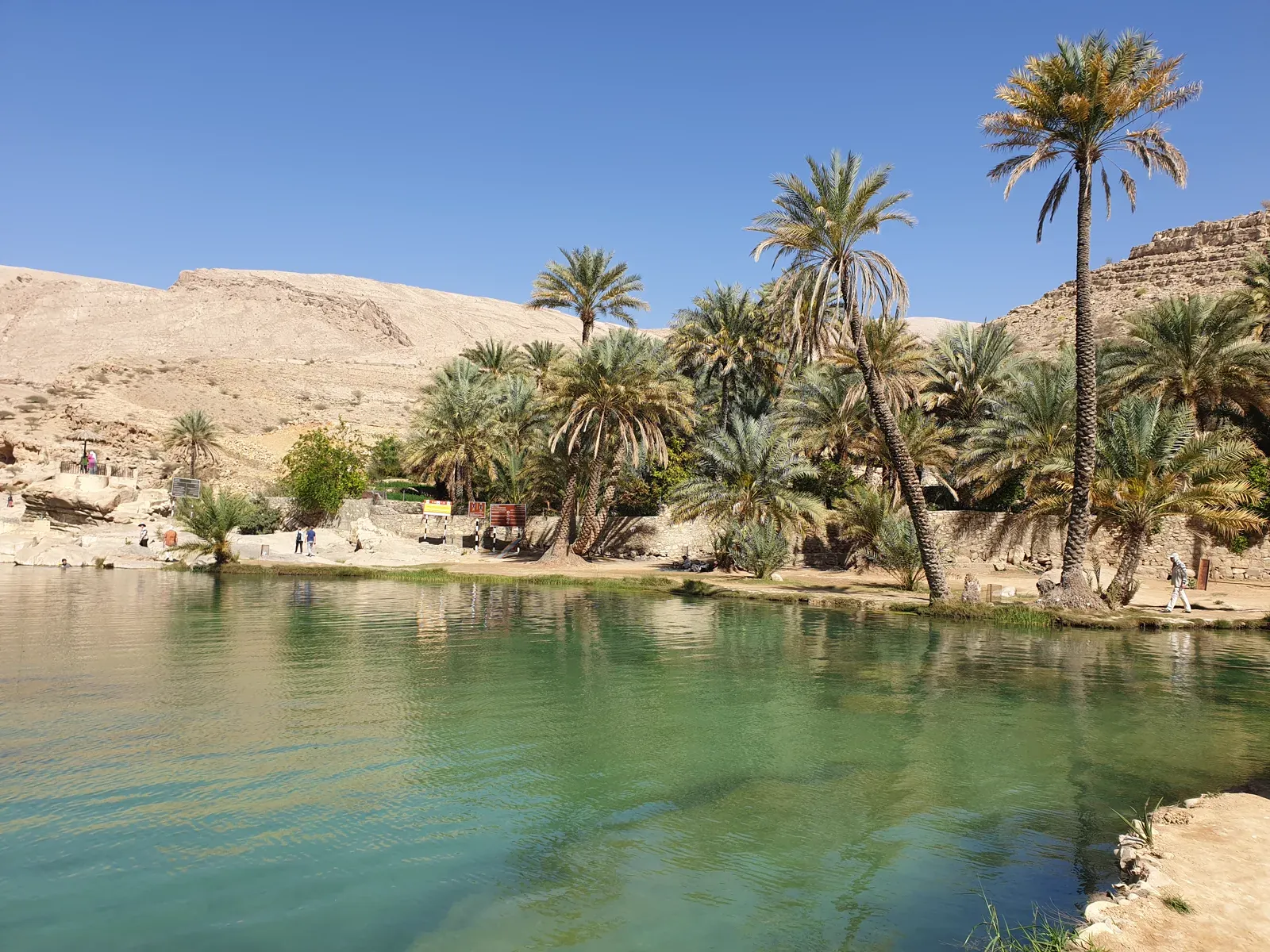 De heldere zwemvijvers van Wadi Bani Khalid