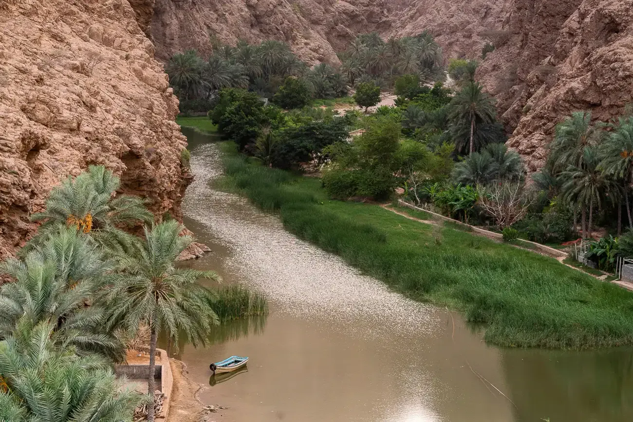 De turkooizen rivier van Wadi Shab tussen dadelpalmen en rietgras, met een bootje aan de oever onder de rotswanden